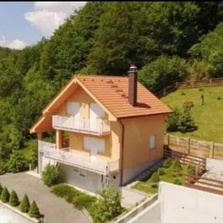 Visum *